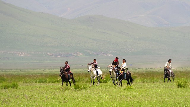 Bareback horse race, Tibet 2012