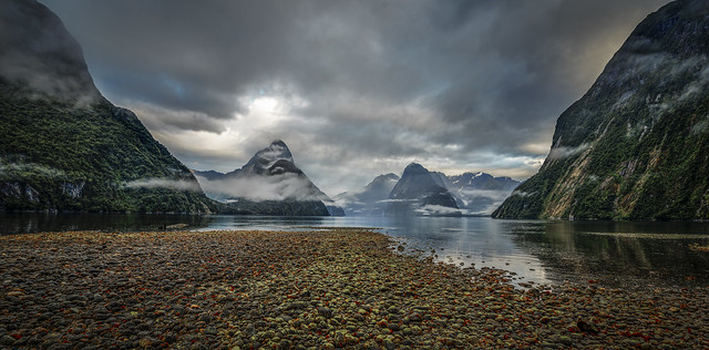 sound of silence | milford sound