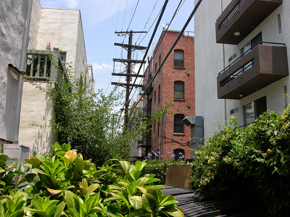 Stoop Flickr DSCN9939-stoop-view-alleyup01 | View from my back stoop | Flickr