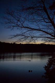 Twilight at Lake Waban