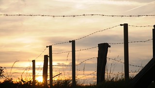 Flickr photo: Sonnenuntergang hinter Stacheldraht; Süderstapel, Stapelholm (7)