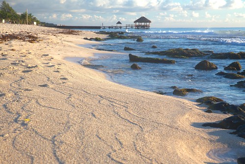 beach mexico sand sunrise