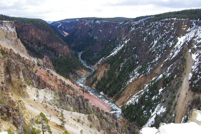 The Grand Canyon of Yellowstone National Park