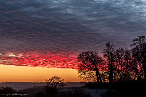 morning trees winter england sky clouds sunrise early unitedkingdom dramatic wittenhamclumps littlewittenham