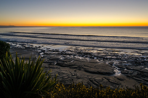 ocean morning newzealand sky plant beach nature rock sunrise outdoor wave pacificocean moeraki flax