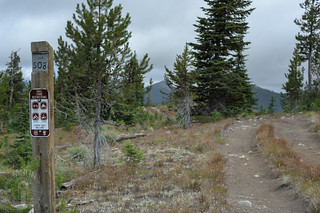 Trail 508