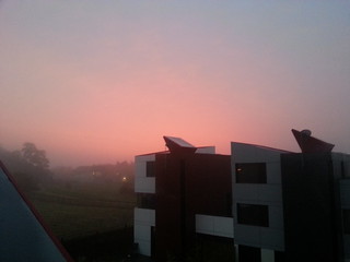 Pink Fog Sunrise