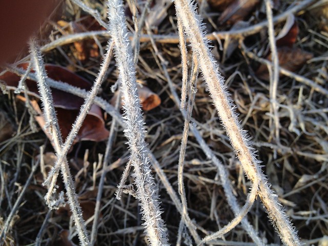 Frost Splinters