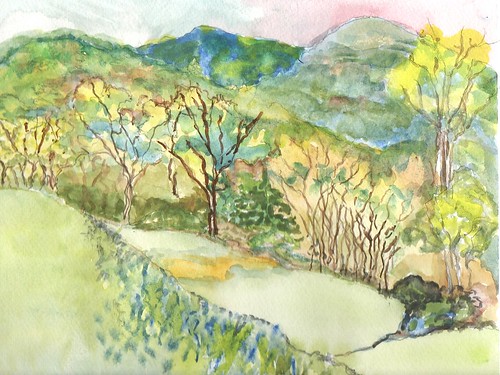 original art landscapes mixed media pennsylvania pleinaire naturesketch sketchbookart sandranestle