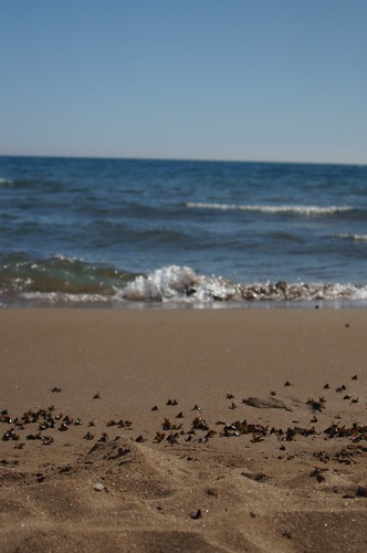 Strand Beach