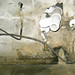 eliminate-mold-odor-water-damage-inspection-repair-bradenton-fl-6
