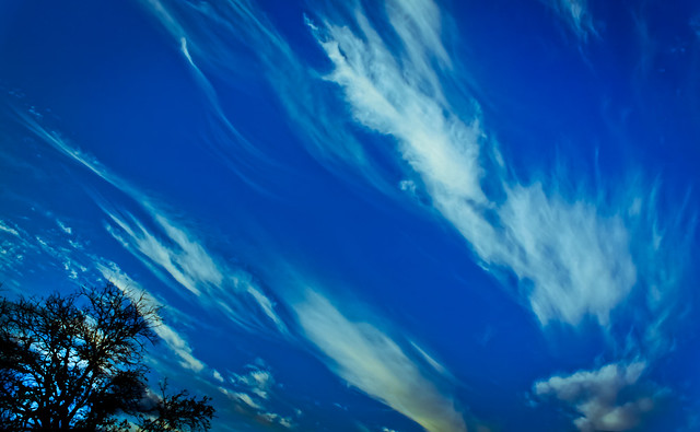 Arbol, Cielo y Nubes (Tree, Sky & Clouds)