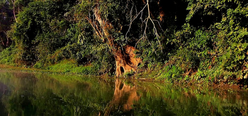 NEPAL, Chitwan-Nationalpark, morgendliche abenteuerliche  Bootsfahrt (auf dem Fluss Rapti) entlang dem Dschungel , (Series), 15313/8024
