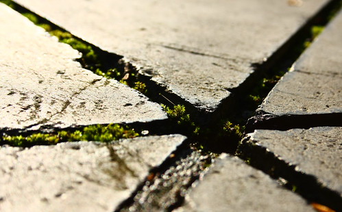 Cross | by NTU Econ Ph.D