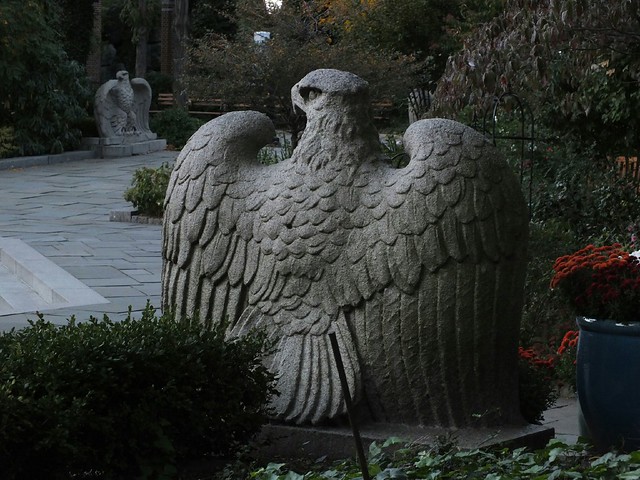 Águilas en Central Park | Eagles At Central Park