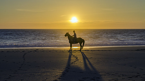 The Lonely Rider II by GC - Photography, lacoruña galicia spain sunset atardecer caballo horse rider jinete gcmphotography playa beach nikon 