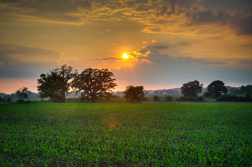 sunset rural illinois corn farm scene