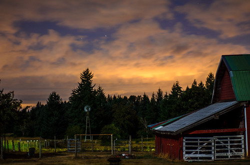 _DSC0006 by flyingmonkey158, 