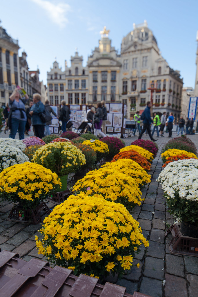 Marché aux fleurs, Grand-place de Bruxelles