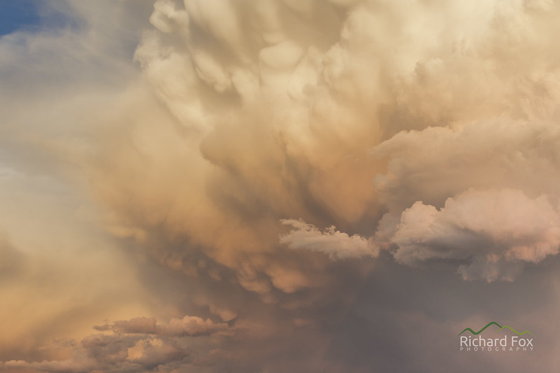 Pink mammatus from the supercell