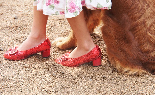 Red shoes and a red dog
