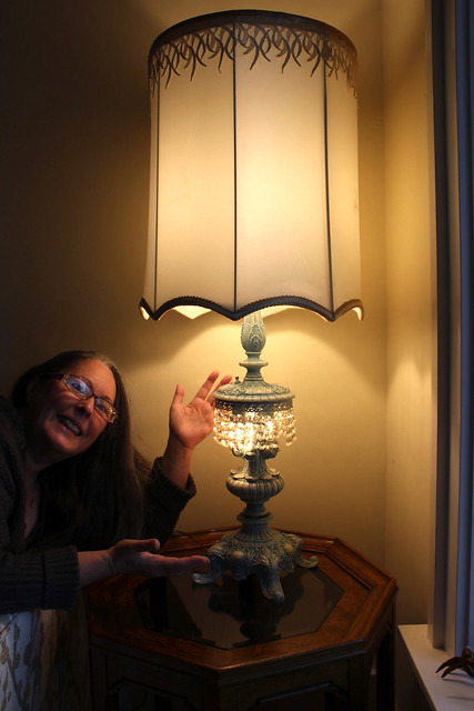 317/365 I Love Lamps!