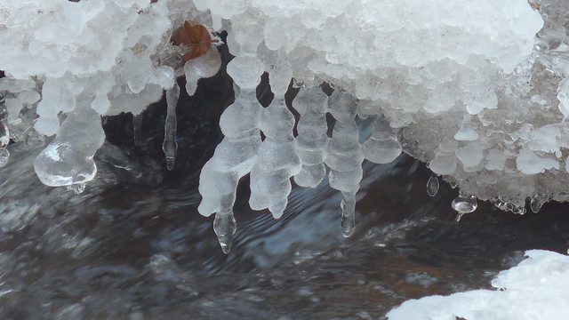 Ice Gnome Hatchery
