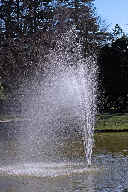 Fountain in the water garden at Cliveden