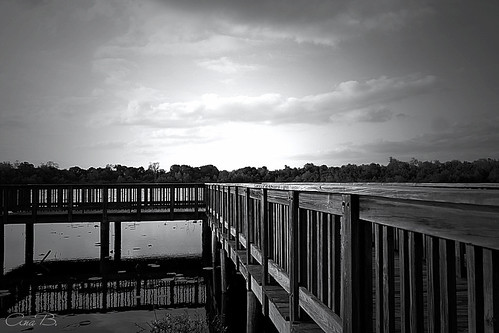 Puente by Ana B. Garcia,