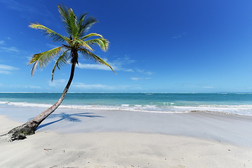 costarica cahuita tamronsp1530mmf28 tree blue sea ocean water sunny light day cloud palm park ngc tamron1530 7dwf