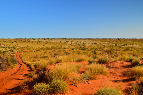 nature landscape australia outback westernaustralia csr australianoutback outbackaustralia 17south canningstockroute gibsondesert littlesandydesert pathslesstravelled