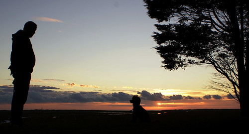 chris england sky tree silhouette sunrise golden coast sony east poppy alpha a77 saltfleet