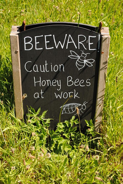 Bee-ware
