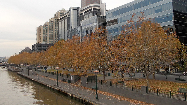 Southbank during autumn