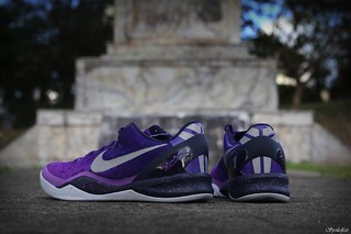 kobe 8 purple