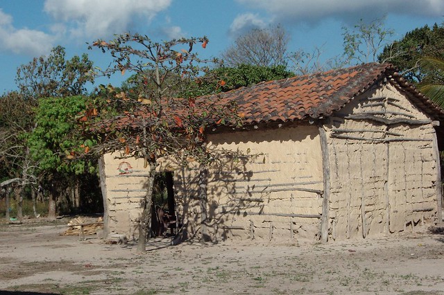 Mud wall house - Casa con paredes de lodo; Lázaro Cardenas, Distrito Juchitán, Región Istmo, Oaxaca, Mexico