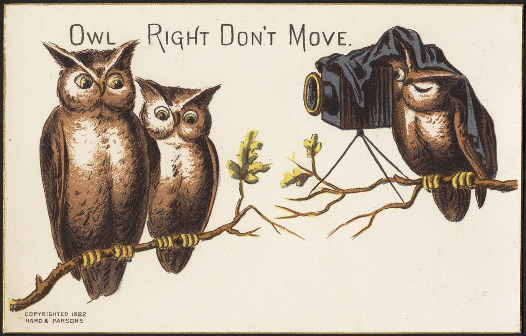 Owl-right. Owl Crew. Dont right
