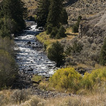 Gardner River