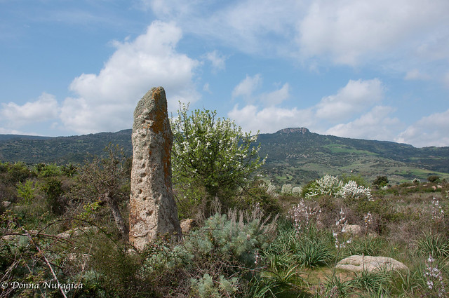 menhir di Prabanta o Su Furconi de Luxia Arrabiosa, Morgongiori