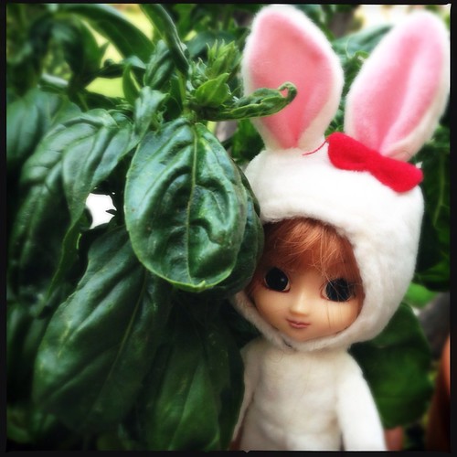 week twenty-two | by ein kaninchen