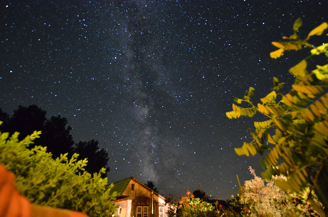 Milky Way emerging from garage, with garden foliage: 30 sec at ƒ/4, ISO 6400, 10 mm