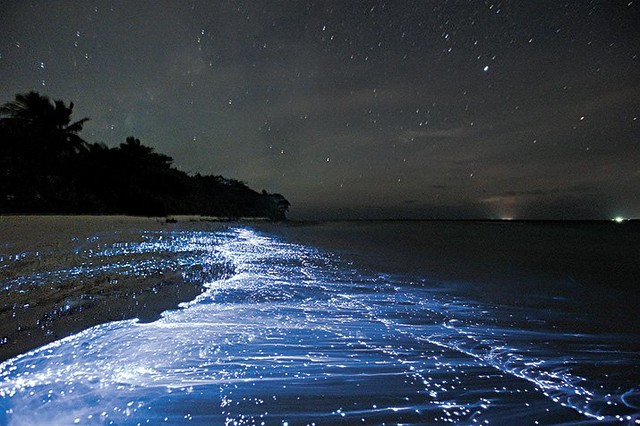 Bioluminescent plankton off the coast of Vaadhoo Island, Maldives