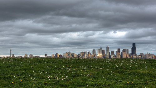 seattle cityscape westseattle pacificnorthwest canon grass cloudy overcast spaceneedle canoneos5dmarkiii canonef2470mmf28lusm