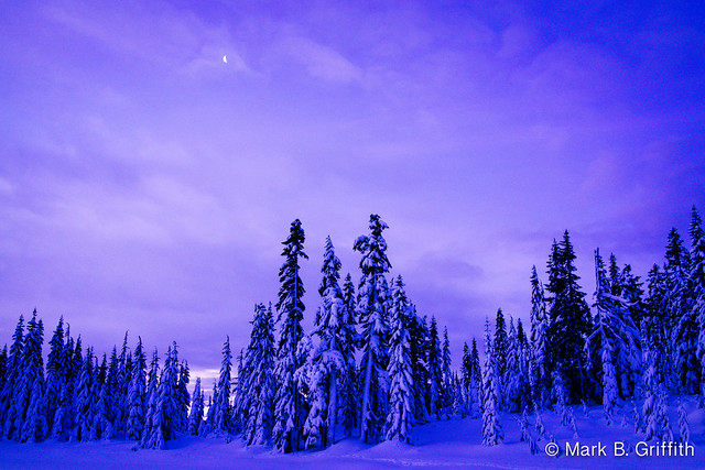 Blue Morning