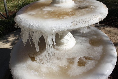 Cold Fountain at MC