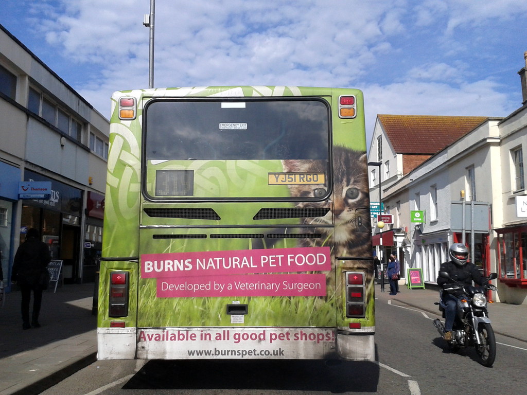 Bus burns pet food