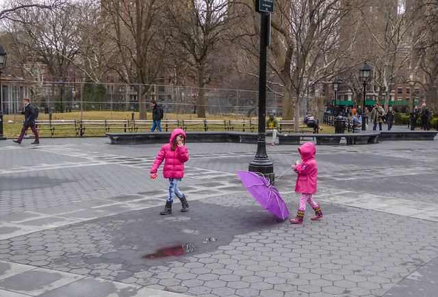A bit of color brightens my view on a rainy, windy day in Washington Square Park NYC