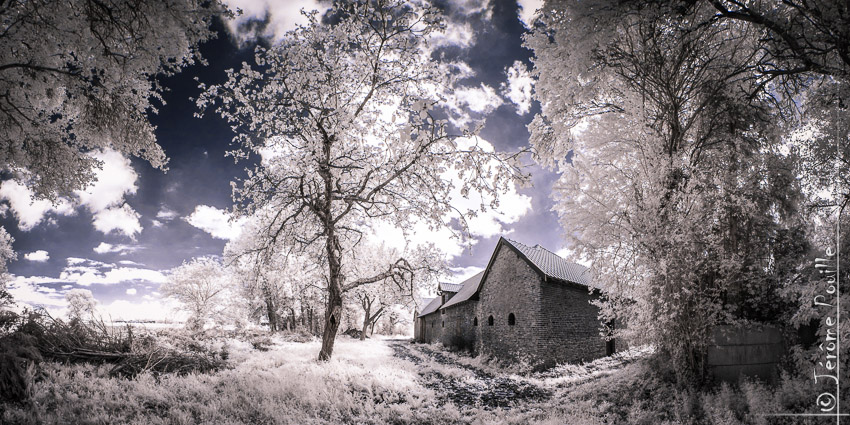 The last house on the right - INFRARED