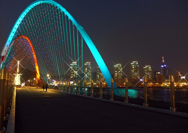 Daejeon Expo Bridge
