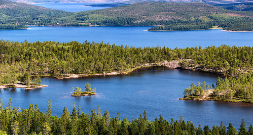 sea pine island nationalpark sweden skog tall sverige hav högakusten ö skuleskogen västernorrlandslän canonef24mmf14liiusm canoneos5dmarkiii tärnättvattnen